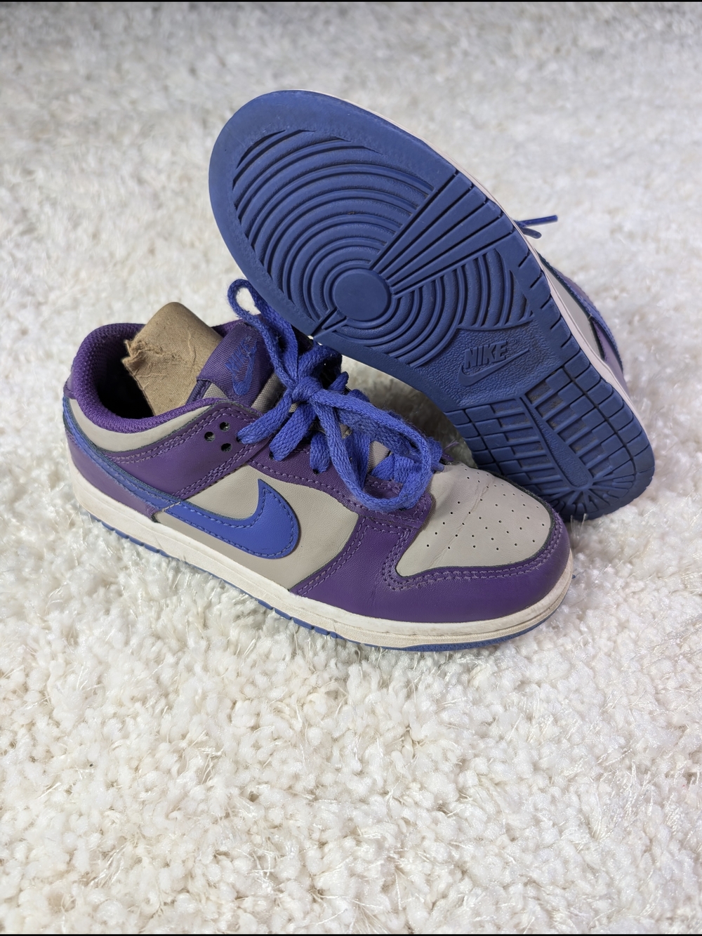 Nike Dunk Kids Purple and Blue Low-Top Sneakers